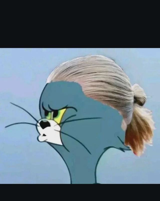 Kar